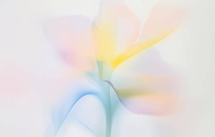 Новинки мая 